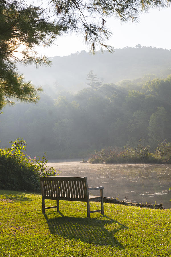 Morning rays on the pond and bench Photograph by Vance Bell