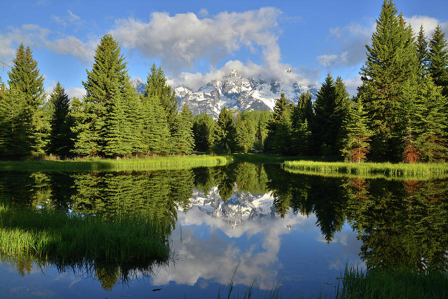 Morning Reflection at Schwabacher Landing Photograph by Ray Mathis