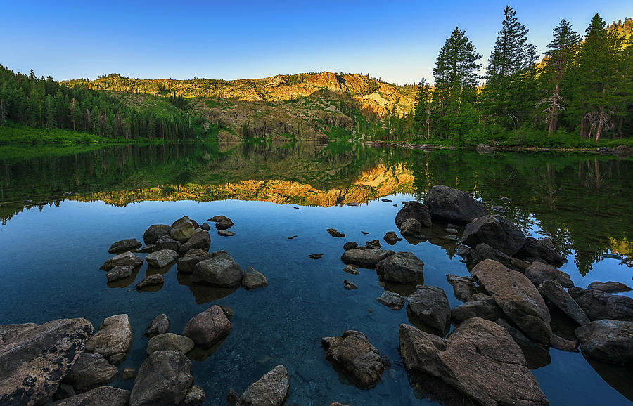 morning reflection morning reflection