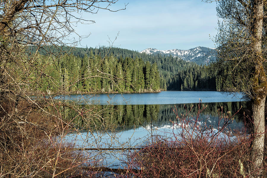 Morning Reflection on Fish Lake Photograph by Belinda Greb