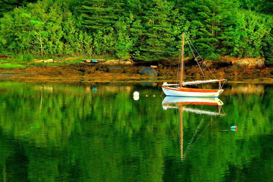Morning Reflections in Maine Photograph by Suzanne DeGeorge