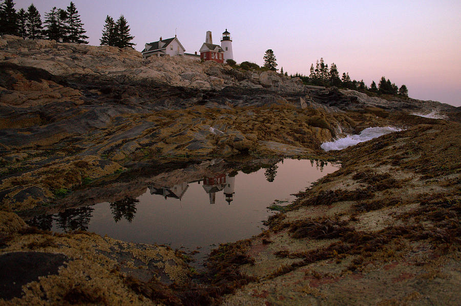 Pemaquid Perspective Photograph by Colleen Phaedra
