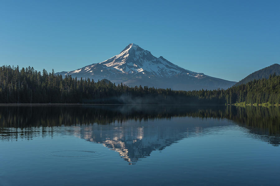 Morning Reflections of Mount Hood Photograph by Brenda Jacobs