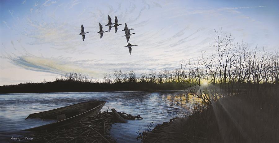 Morning Retreat - Pintails Painting by Anthony J Padgett