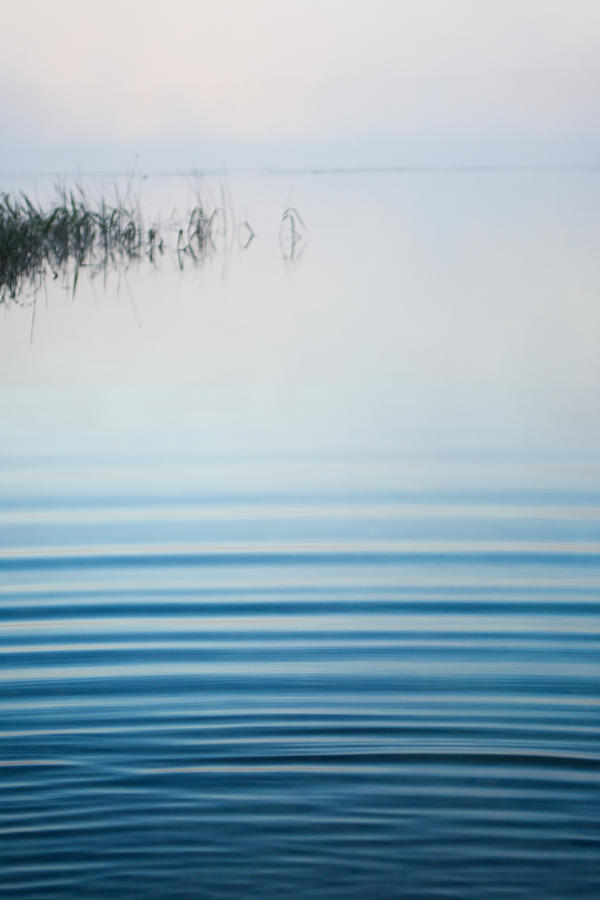 Morning Ripples Photograph by Parker Cunningham