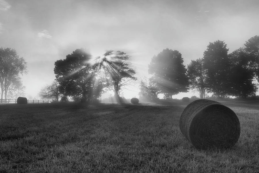 Black And White Photograph - Morning Rolls bw by Bill Wakeley