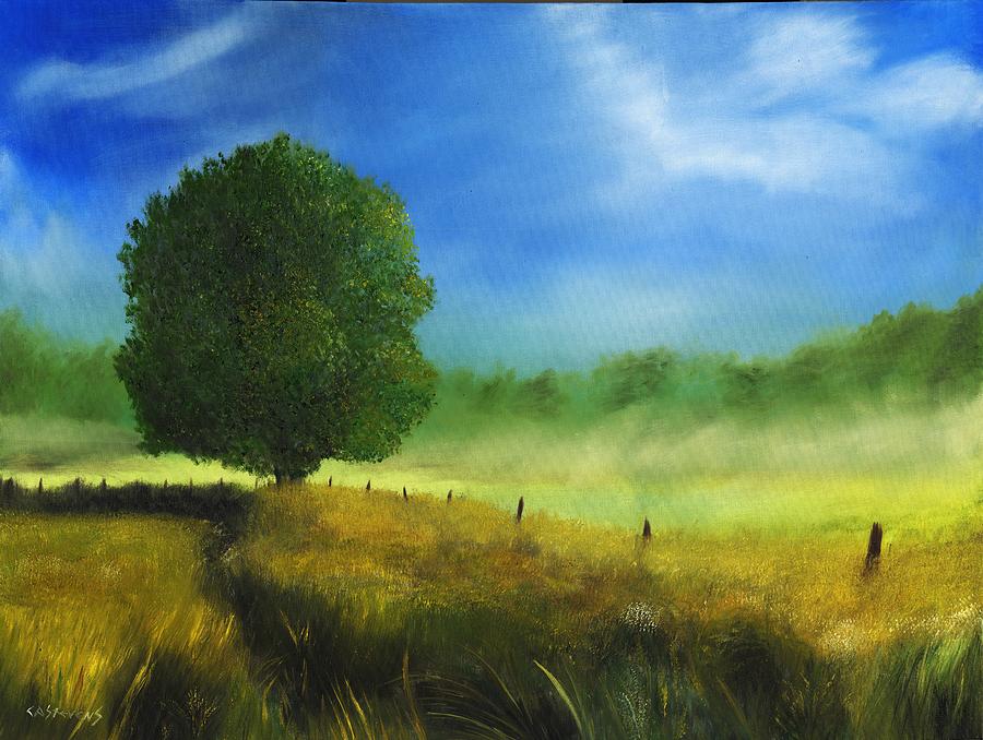 Morning Shade Painting By Craig Stevens 