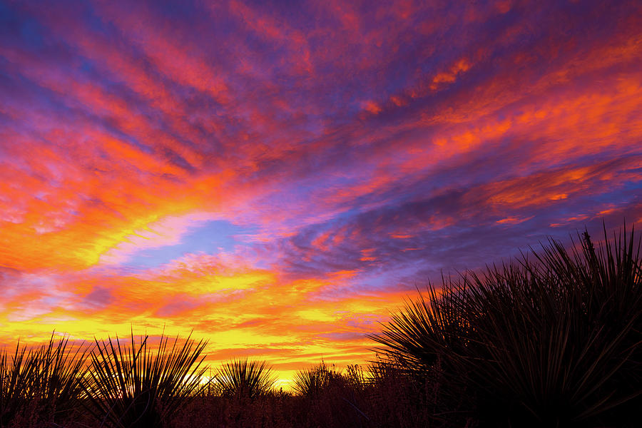 Morning Skies Photograph by Gary Kochel