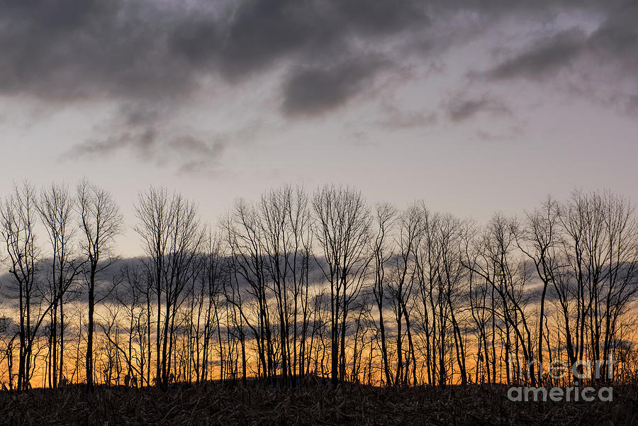 Morning Sky Photograph by Nicki McManus
