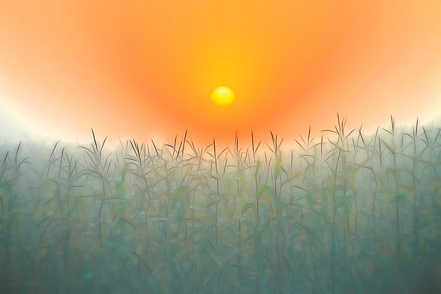 Good Morning Photograph - Morning Sky On The Farm by Dan Sproul Good Morning Photograph - Morning Sky On The Farm by Dan Sproul