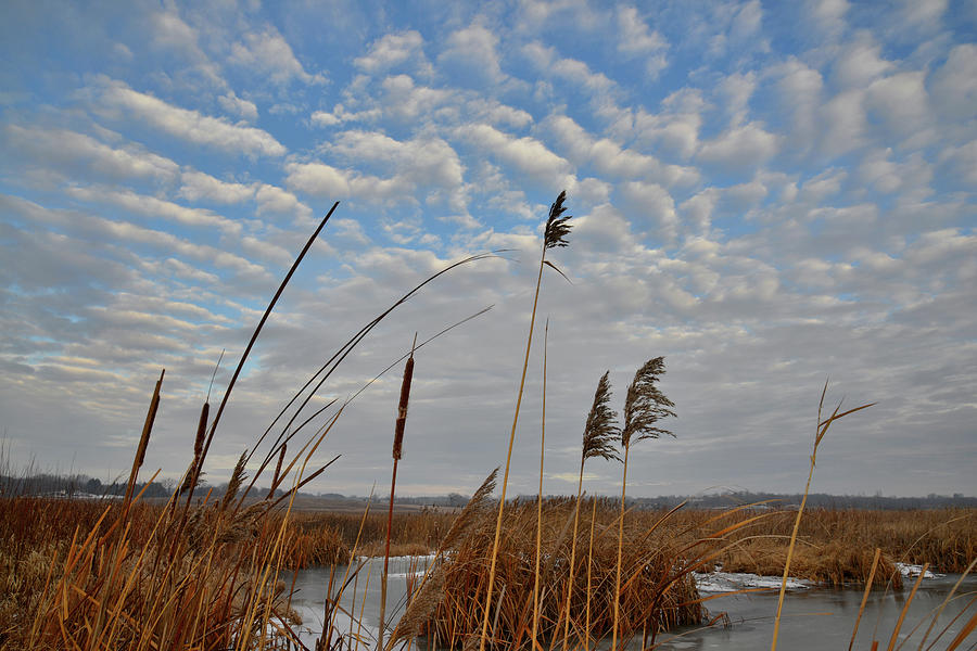 Morning Sky over Hackmatack National Wildlife Refuge Wetland Photograph by Ray Mathis