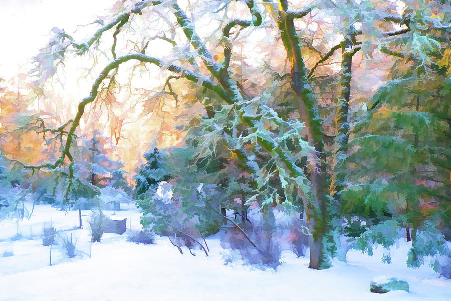Winter Wonderland Digital Art by Mike Bergen