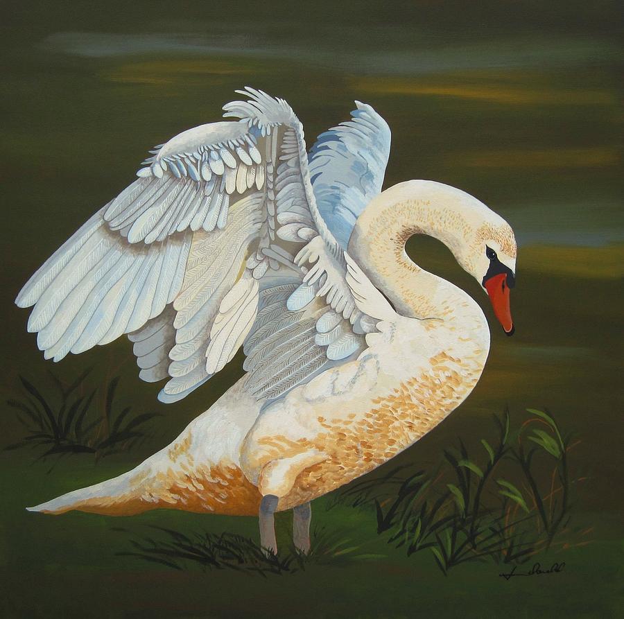 Swan Painting - Morning Stretch by Jennifer Donald Swan Painting - Morning Stretch by Jennifer Donald