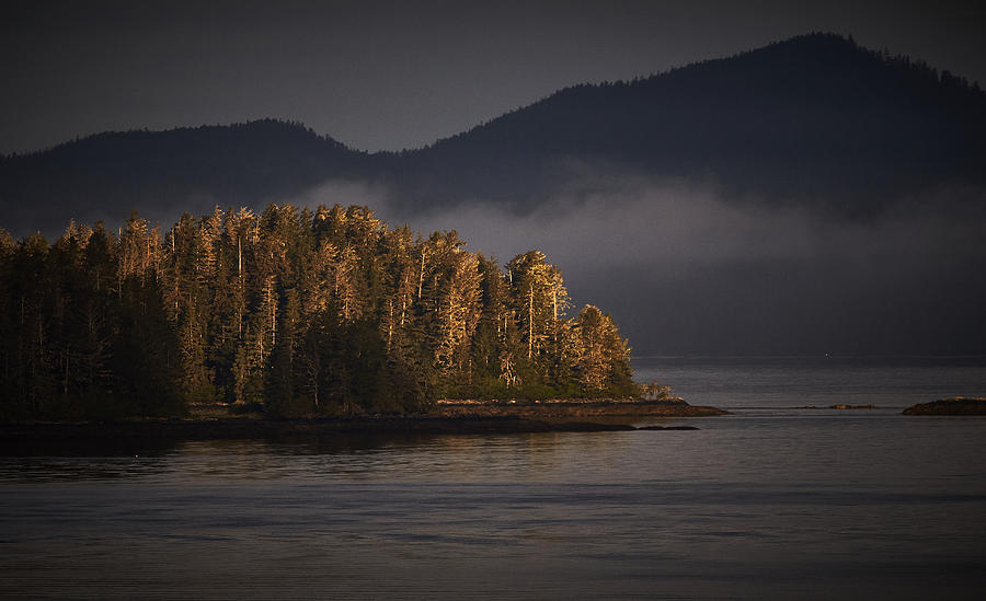 Morning Sun Alaska Photograph by Edward Betz - Fine Art America