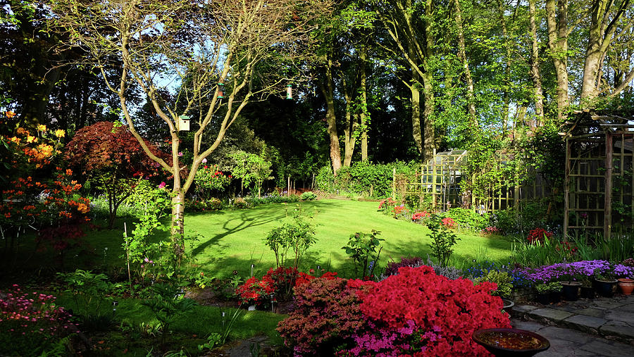 English Garden In The Morning Sun Photograph By Bai Qing Lyon - Fine 