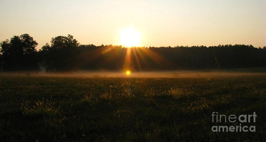 Morning Sun Lite Field Photograph by Donna Brown