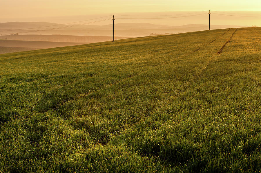 Morning Sun. Moravian Tuscany Photograph by Jenny Rainbow