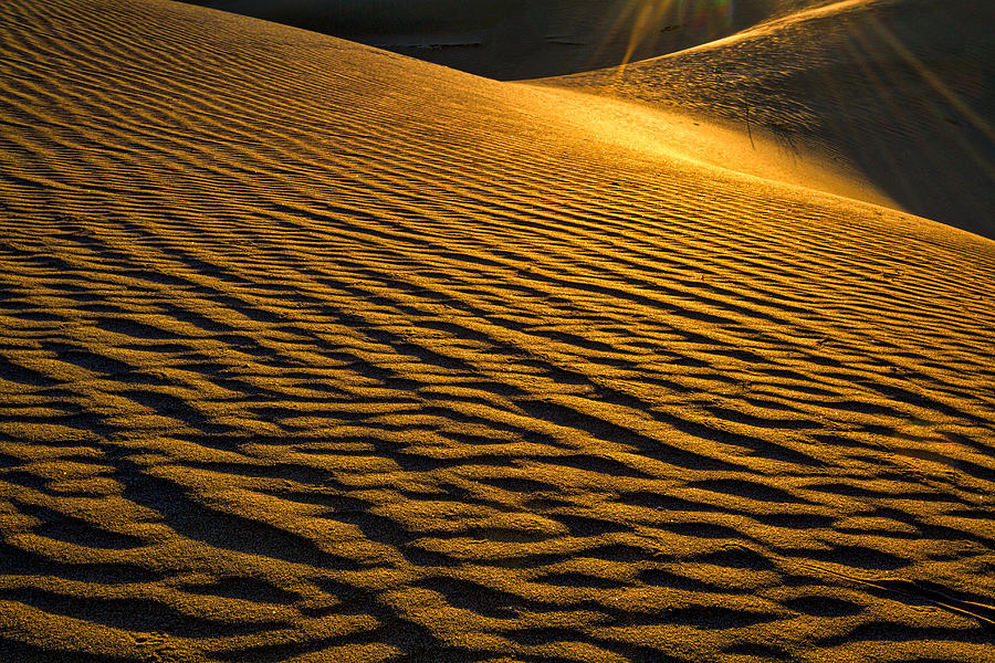 Morning Sun on Sand Dunes - Death Valley Photograph by Stuart Litoff