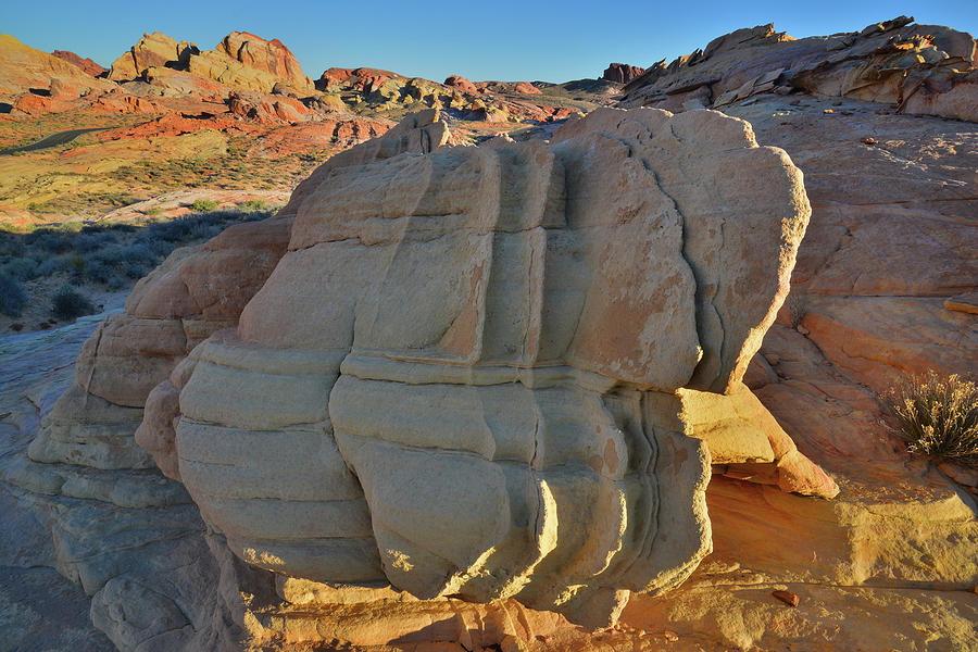 Morning Sun on Sandstone Shapes of Valley of Fire Photograph by Ray Mathis