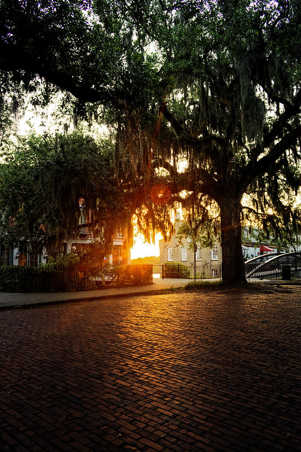 Brick Photograph - Morning Sun on The Bricks of Savannah by Greg and Chrystal Mimbs