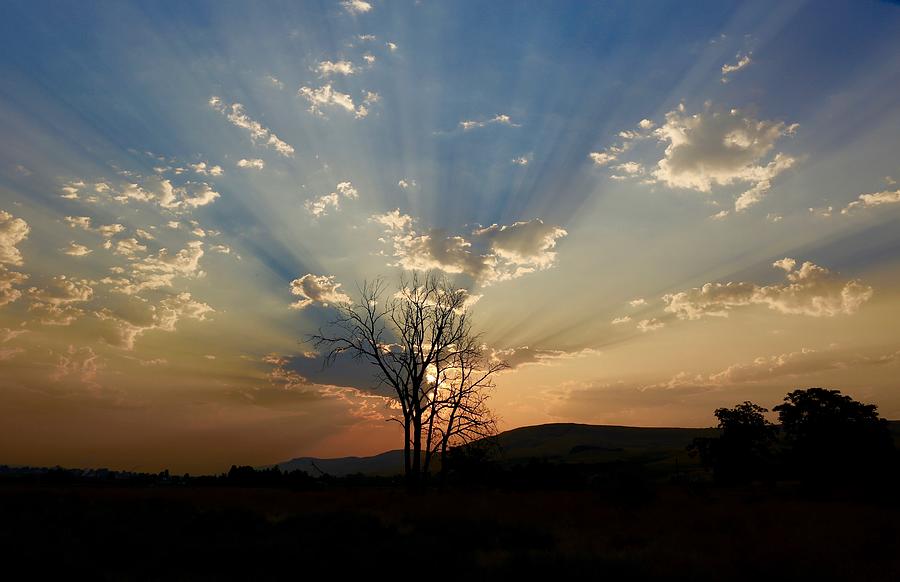 Morning sun rays Photograph by Lynn Hopwood