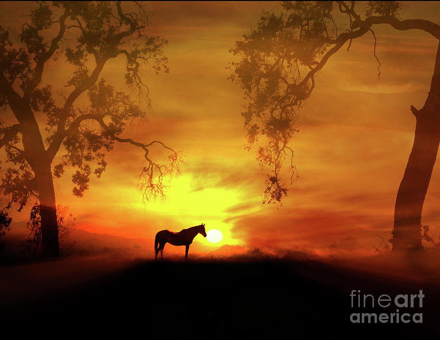 Morning Sunrise Horse and Oaks Photograph by Stephanie Laird
