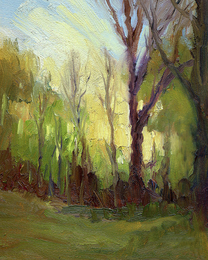 Morning Sunrise by Mark Haglund Morning Sunrise by Mark Haglund