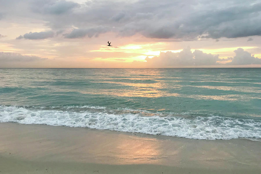 Morning Sunrise - Miami Beach Photograph by Art Block Collections