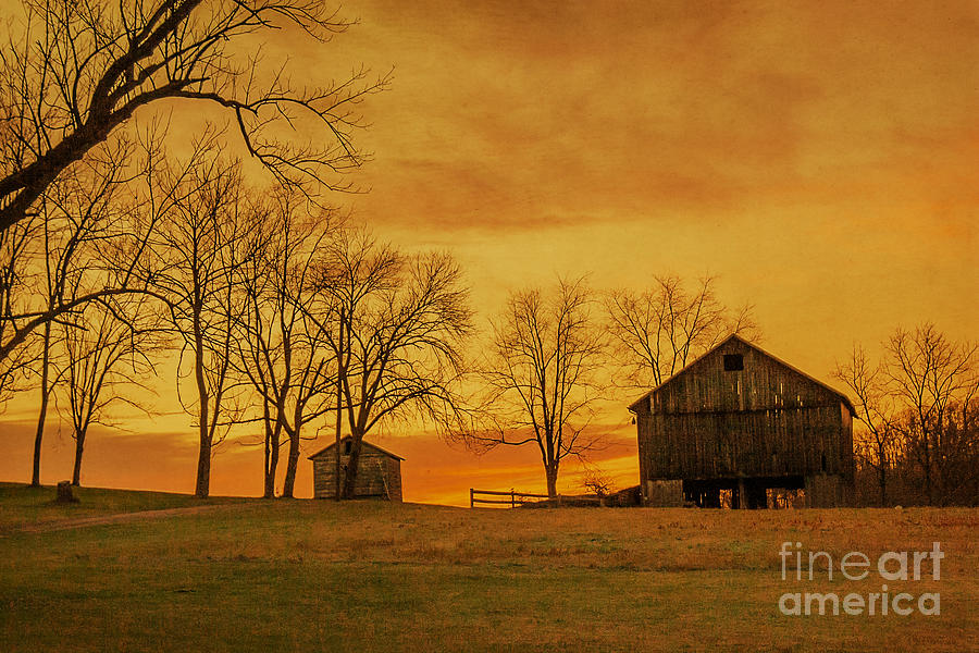 Morning Sunrise on the Farm Digital Art by Randy Steele