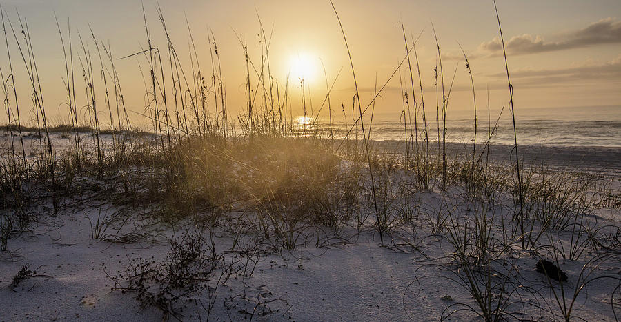 Morning sunrise over the dunes  Photograph by John McGraw