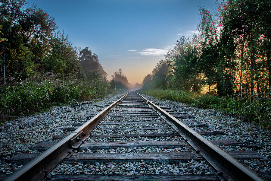 Morning Tracks Photograph by Chuck Landry