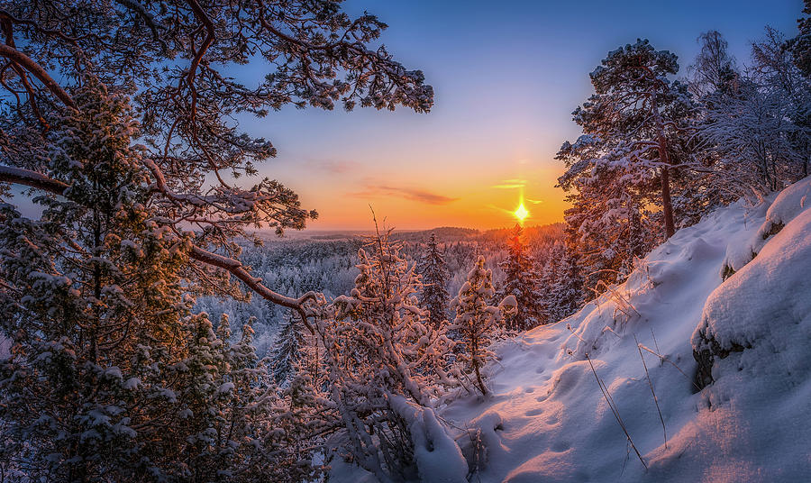 Morning Tracks Photograph by Lauri Lohi - Fine Art America