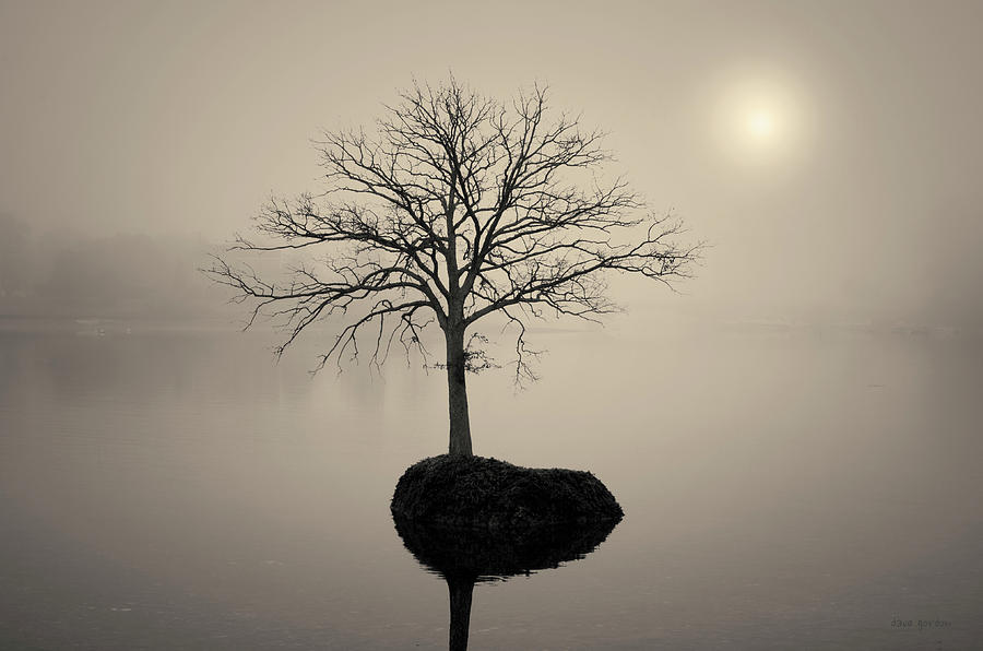 Morning Tranquility Toned Photograph by David Gordon