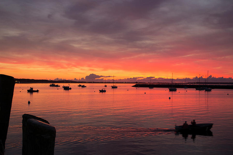 Morning View Photograph by Ellen Koplow