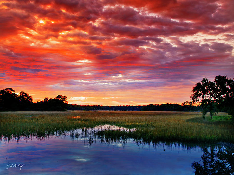 Morning View Photograph by Phill Doherty