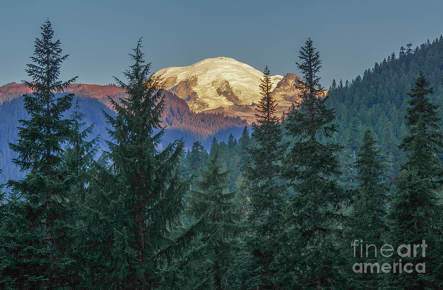 Mount Rainier Photograph - Morning  Vista by Wayne  Johnson