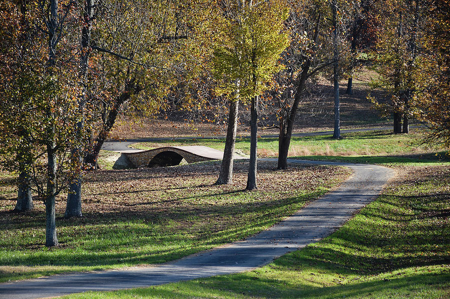 Morning Walk at Mahr Park - Kentucky Photograph by Greg Jackson