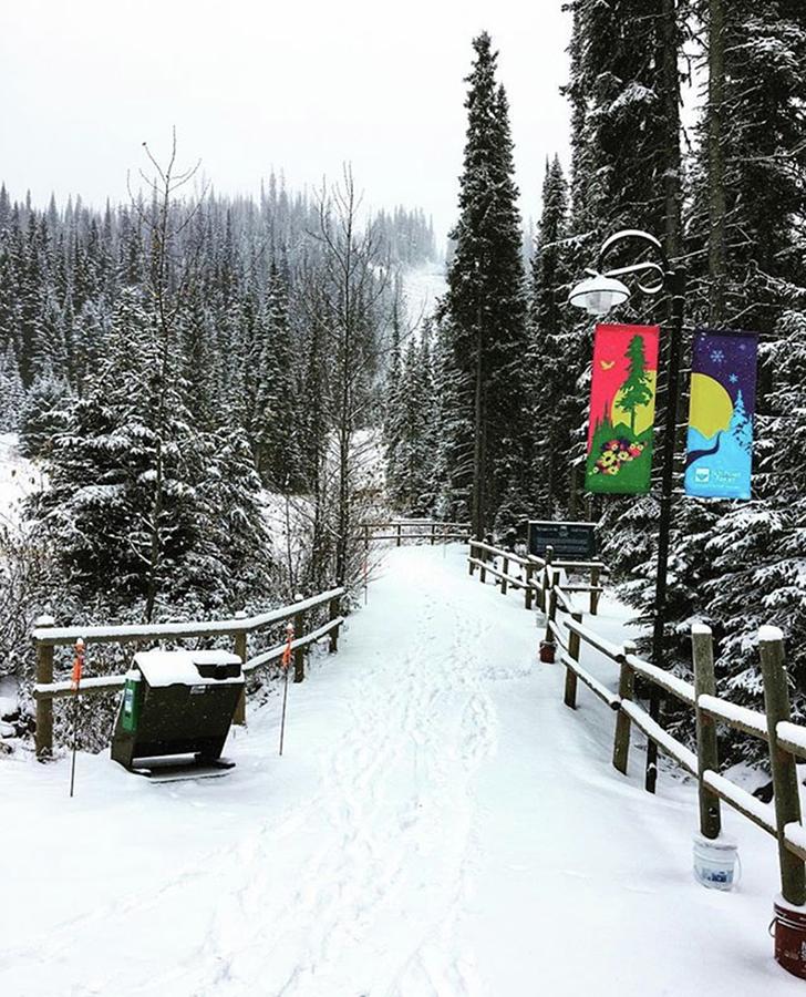Winter Photograph - Morning Walk At Sun Peaks Ski Resort! by Mike Bennett