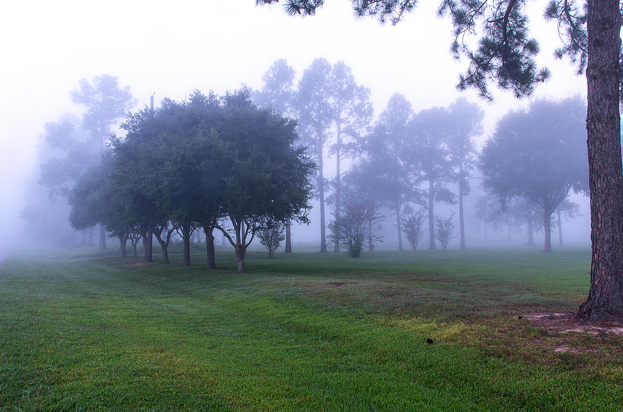 Landscape Photograph - Morning Walk by Bob Marquis