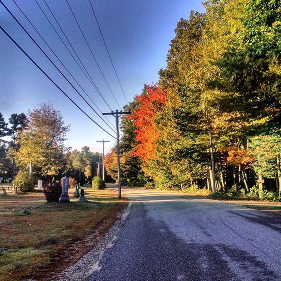 Fall Photograph - Morning Walk. Fall Is Here! by Melissa Yosua-Davis