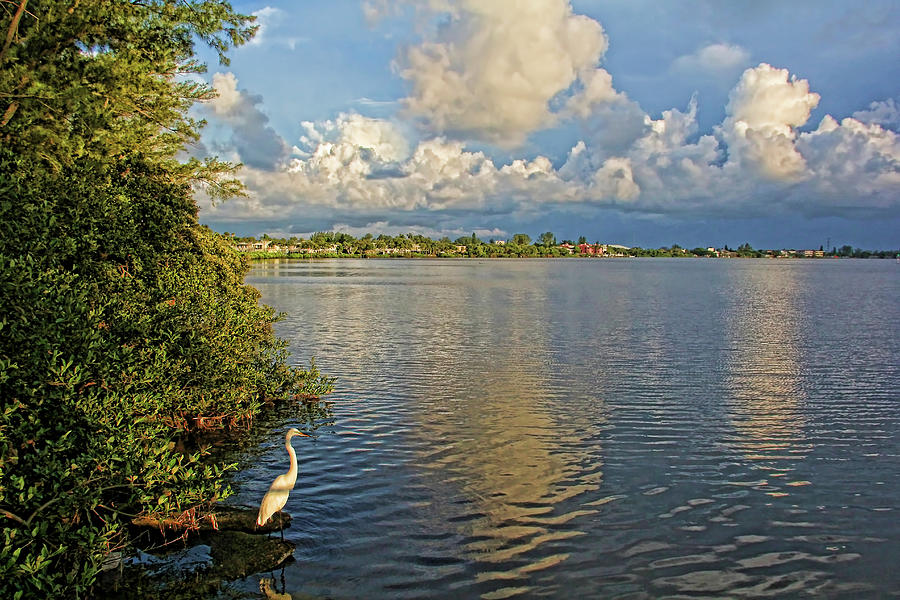 Morning Walk Photograph by HH Photography of Florida