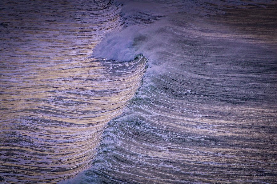 Morning Wave Photograph by Bill Posner