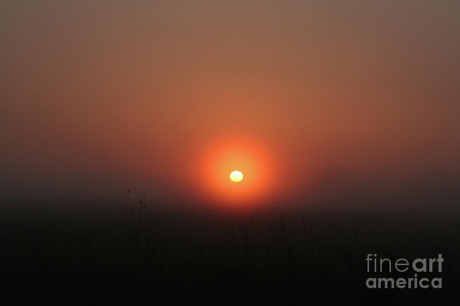 Mornings Gaze Photograph by Marcel Stevahn