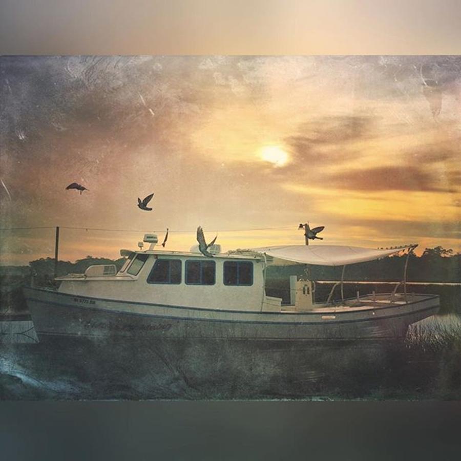 Boat Photograph - Mornings View #morninglight #instagram by Joan McCool