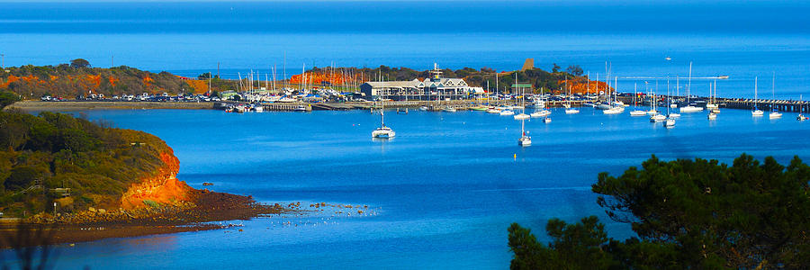 mornington-yacht-club-photograph-by-terence-kneale-fine-art-america