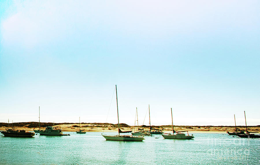 Moro Bay Inlet with Sailboats Mooring in Summer Photograph by Artist and Photographer Laura Wrede