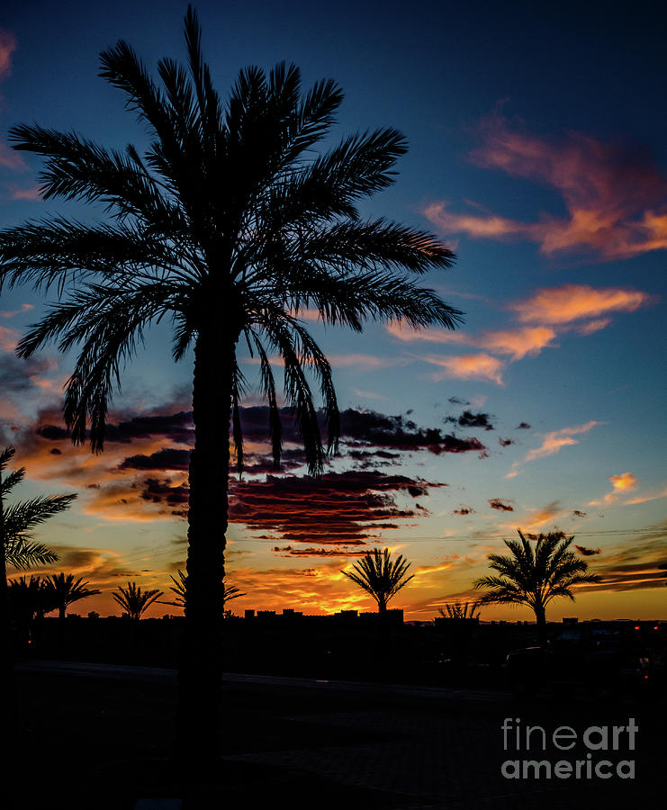 Moroccan Sunset Photograph by Pat Lucas