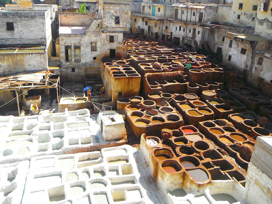 Unschooling Photograph - Moroccan tannery by Exploramum Exploramum