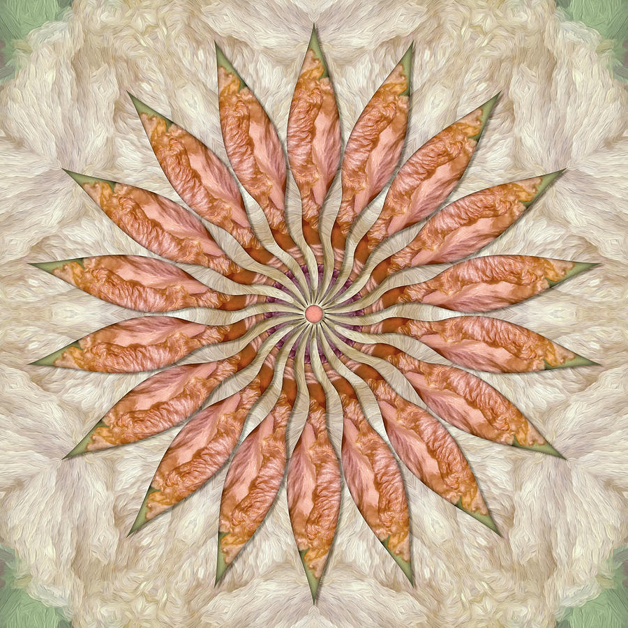 Morphing Iris Wooly-Fluff Digital Art by Becky Titus