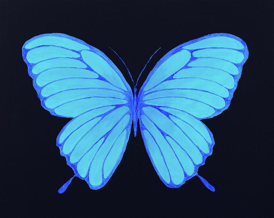 Butterfly Painting - Morpho by Iryna Goodall